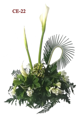 Bodas