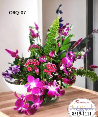 Orquideas
