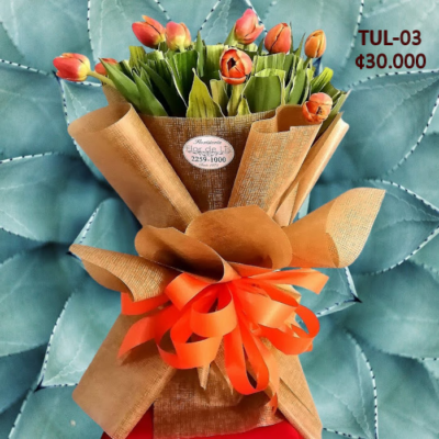 Tulipanes